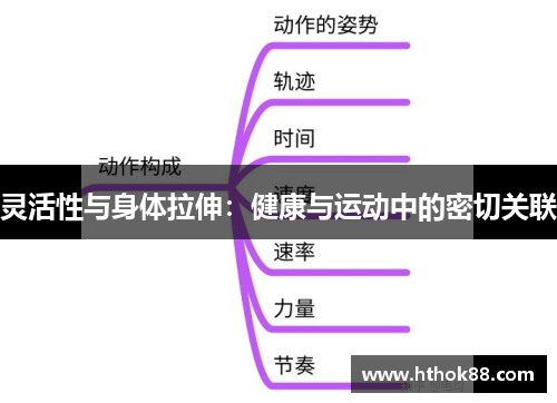 灵活性与身体拉伸：健康与运动中的密切关联