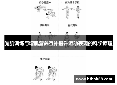 胸肌训练与增肌营养互补提升运动表现的科学原理